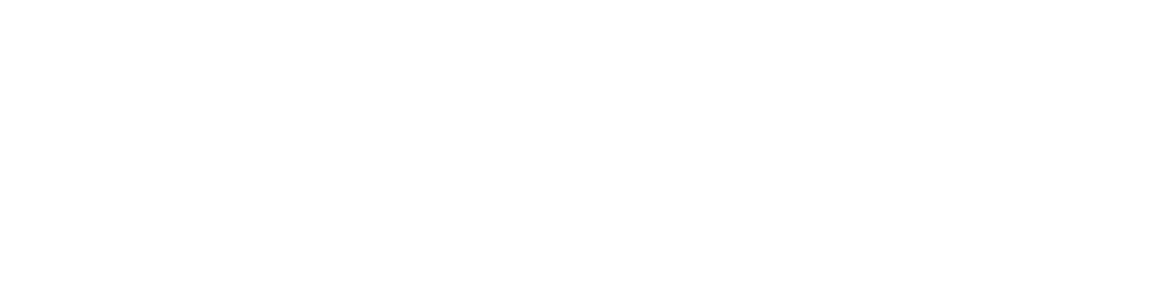 Voyager_Logo-white